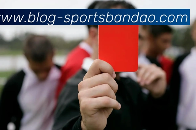 半岛体育平台生态图