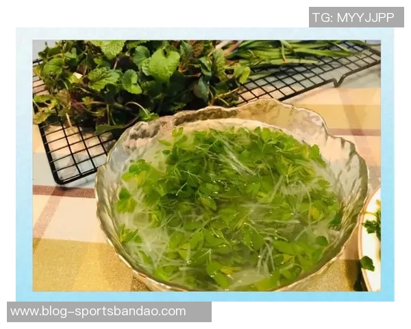 杨瀚森的日常生活:翻译工作与独自烹饪的简单乐趣 杨瀚森的日常生活:翻译工作与独自烹饪的简单乐趣